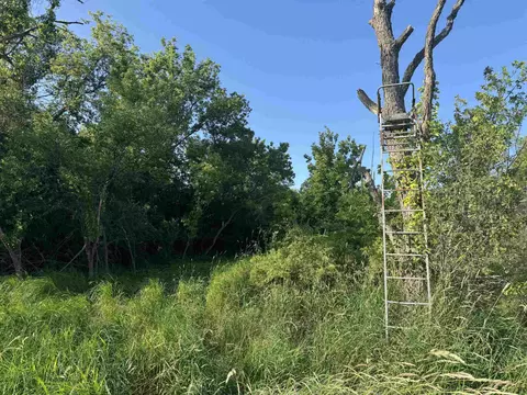 80 Ml Acres Jordan Rd, Waterloo, WI 53594 photo 67