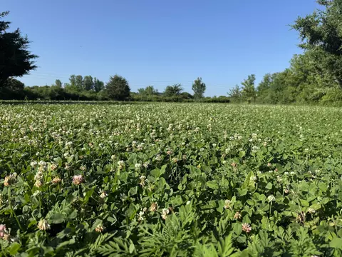 80 Ml Acres Jordan Rd, Waterloo, WI 53594 photo 61