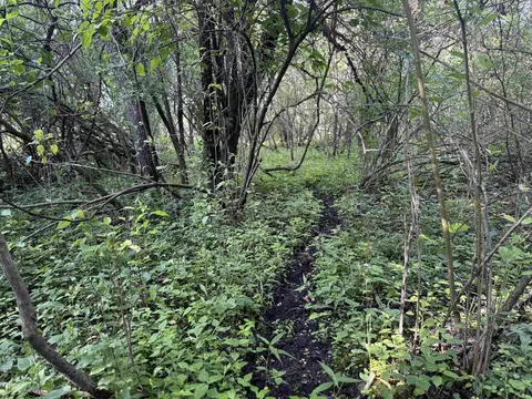 80 Ml Acres Jordan Rd, Waterloo, WI 53594 photo 68