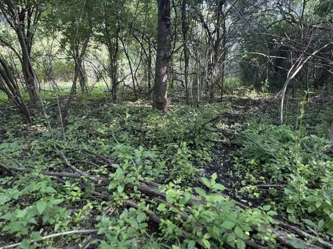 80 Ml Acres Jordan Rd, Waterloo, WI 53594 photo 69