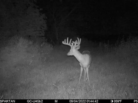 80 Ml Acres Jordan Rd, Waterloo, WI 53594 photo 81