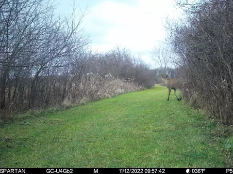 80 Ml Acres Jordan Rd, Waterloo, WI 53594 photo 80