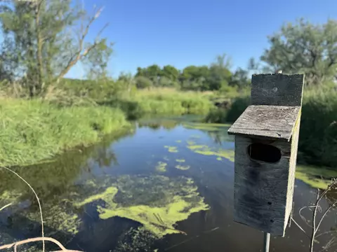 80 Ml Acres Jordan Rd, Waterloo, WI 53594 photo 66