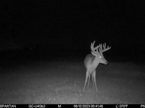 80 Ml Acres Jordan Rd, Waterloo, WI 53594 photo 79