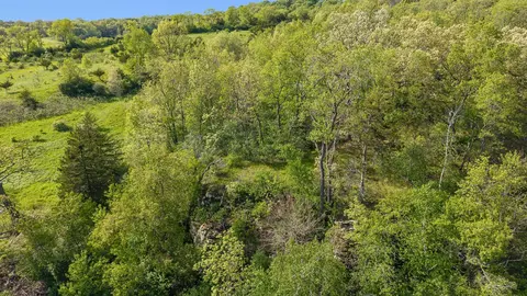 19 37 Acres Greenwald Rd, Mount Horeb, WI 53572 photo 7
