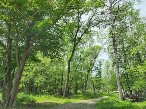 2284 15th Dr, Adams, WI 53934