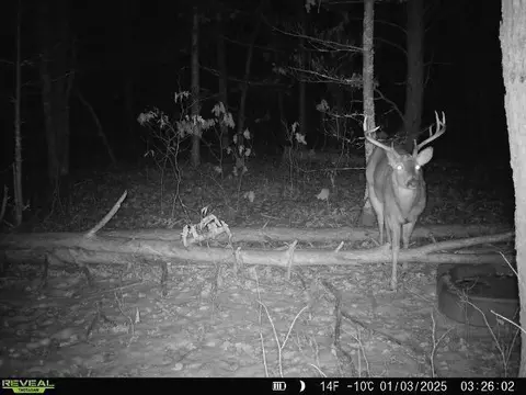 lot1 Highway 13, Adams, WI 53934
