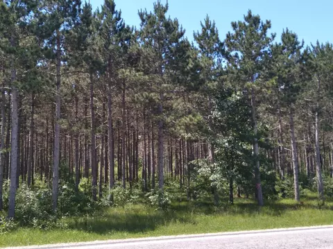9 17 Ac County D Rd, Nekoosa, WI 54457