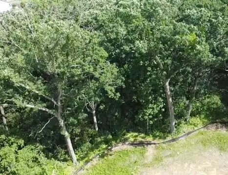 1273 Retreat Cir, Verona, WI 53593