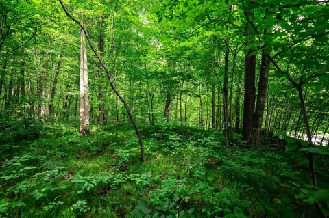 13 33 Acres Oak Ridge Rd, Conrath, WI 54731