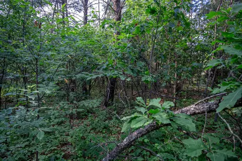 lot188 Mallard Dr, New Lisbon, WI 53950