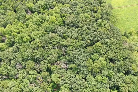9 85 Acres Stevenson Dr, Poynette, WI 53955 photo 9