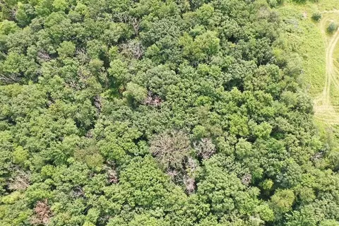 9 85 Acres Stevenson Dr, Poynette, WI 53955 photo 8