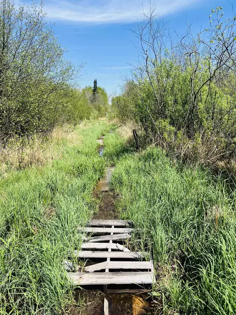 Zink Avenue, Greenwood, WI 54470