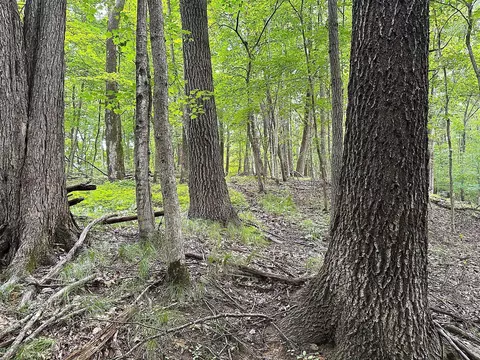 37 5 - Acres South Sleepy Hollow Rd, Gays Mills, WI 54631