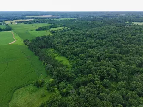 0000 County Rd N Rd, Almond, WI 54909