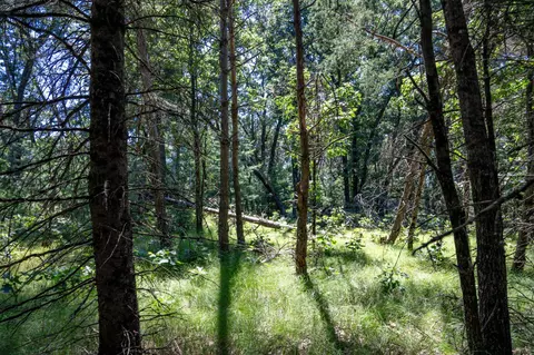 10 42 Acres Kelsey Ln, Lyndon Station, WI 53944