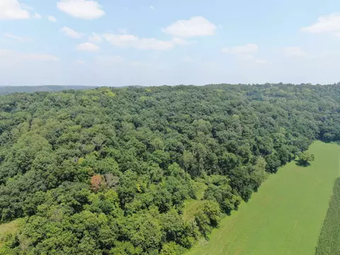40 Acres Hwy Nn, Richland Center, WI 53581