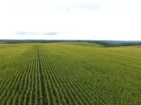 126 75 Acres Booth Ln, Viola, WI 54664