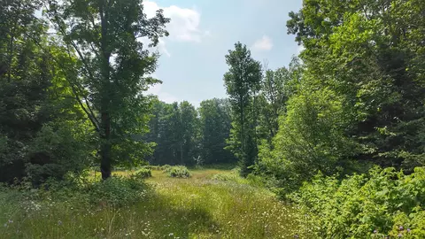 3 38 Acres County F Rd, Antigo, WI 54409
