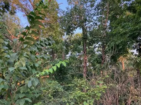 lot2 Csm 4904 Legler Valley Rd, New Glarus, WI 53574
