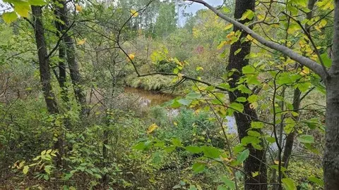 40 Acres Copper Mine Rd, Gordon, WI 54838
