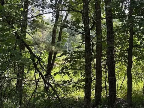 lot13 W 19th Ln, Arkdale, WI 54613