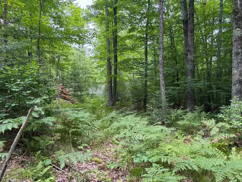 30 E Acres E Oneida Ln, Rhinelander, WI 54501