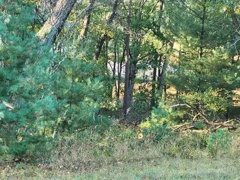 lot15 Ridgewood Dr, Friendship, WI 53934