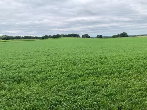 L1 County Road J, Green Lake, WI 54941