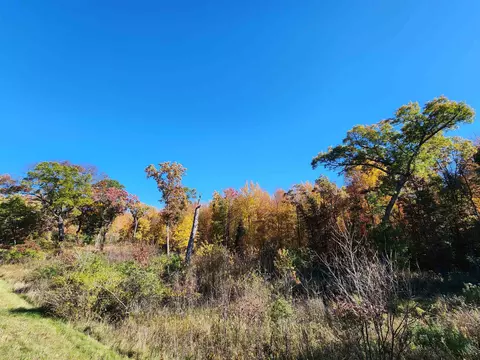 49 79 Ac Forest Dr, Hancock, WI 54943 photo 5