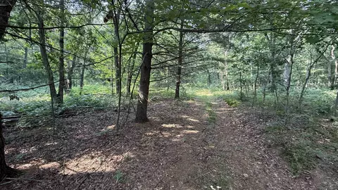 3 W 65 Ac W Limits Rd, Lyndon Station, WI 53944