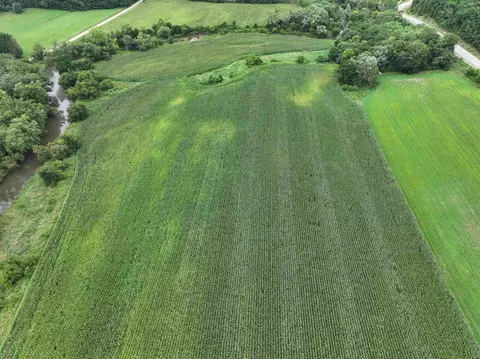 68 33 Ac Highway 131 Acres, Readstown, WI 54652