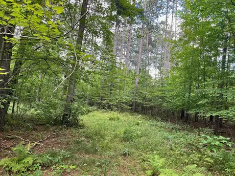 80 Ac County Road G, Hancock, WI 54943