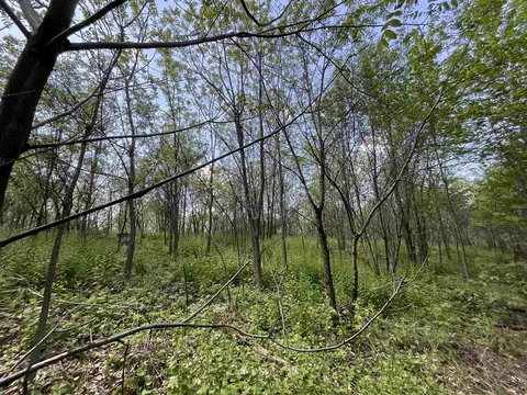 lot22 Fur Ln, Oxford, WI 53952