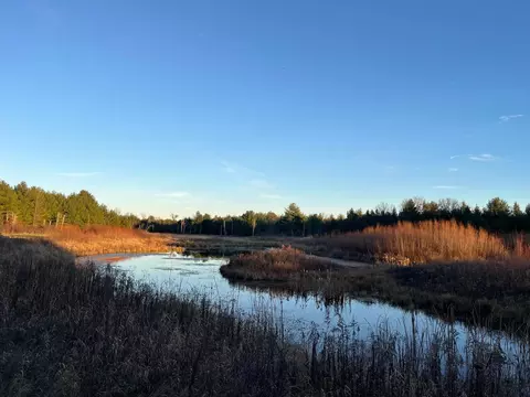 33 Acres 10th Ave, Adams, WI 53910
