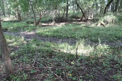 10 54 Acres County Road D, Fall River, WI 53932 photo 8