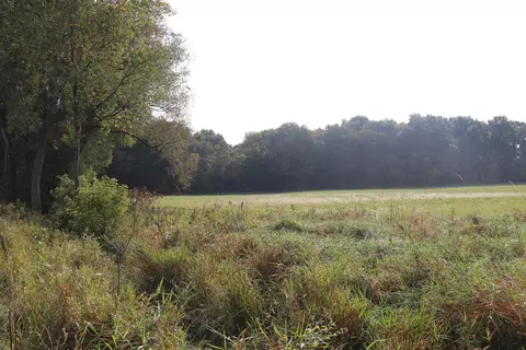 10 54 Acres County Road D, Fall River, WI 53932 photo 7