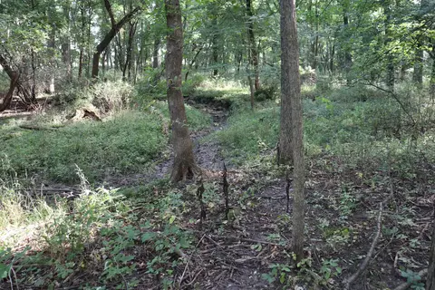 10 54 Acres County Road D, Fall River, WI 53932 photo 9