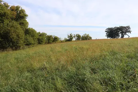10 54 Acres County Road D, Fall River, WI 53932 photo 3