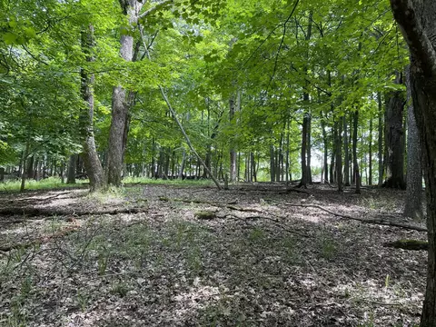 Lt 148 Pine Cone Lane, La Valle, WI 53941