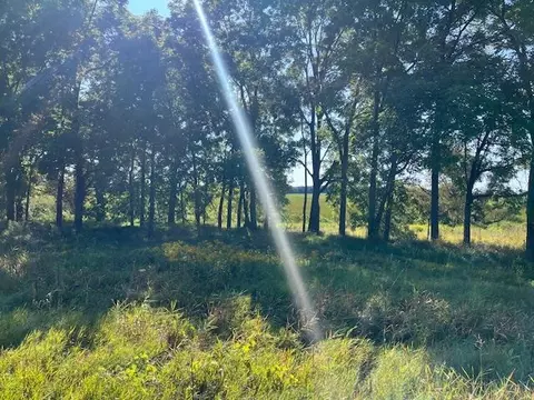 18 31 Acres County M Rd, Pickett, WI 54964