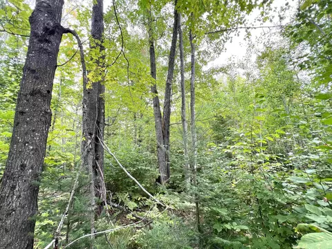5 56 Acres On Star Lake Rd, Crandon, WI 54520