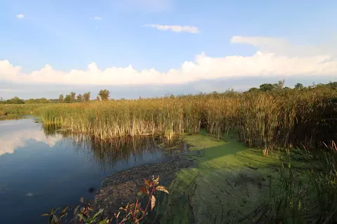 14 89 Ac 7th Dr, Montello, WI 53949