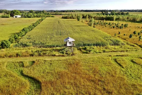 N5449 County M Road, Brandon, WI 53919