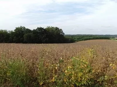 17 Acres Sand Hill Rd, Boscobel, WI 53805