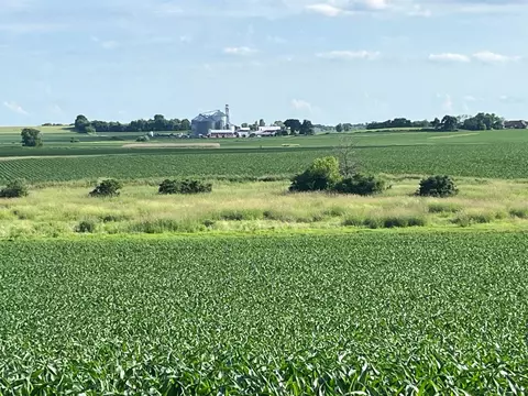 59 Acres Meek Rd, Arlington, WI 53911