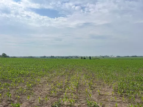 63 Acres Meek Rd, Arlington, WI 53911