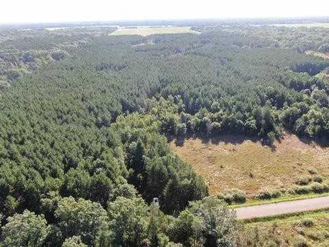 80 Ac 9th Acres, Adams, WI 53910