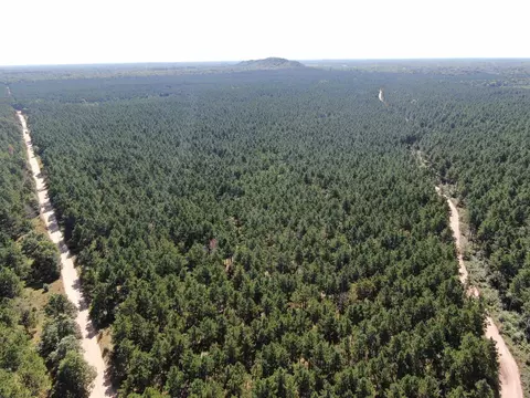 77 Ac State Highway 13 Acres, Nekoosa, WI 54457